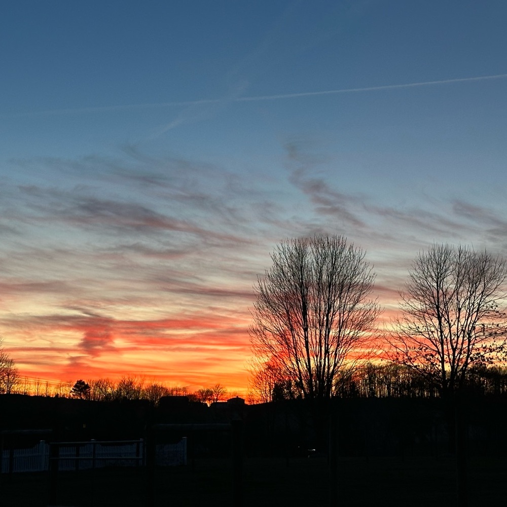 Meet your Posher, Dani